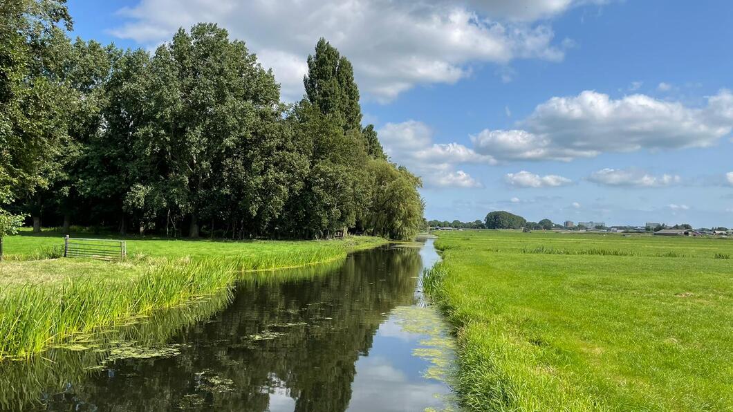 Sloot in de uitgestrekte Gnephoek polder