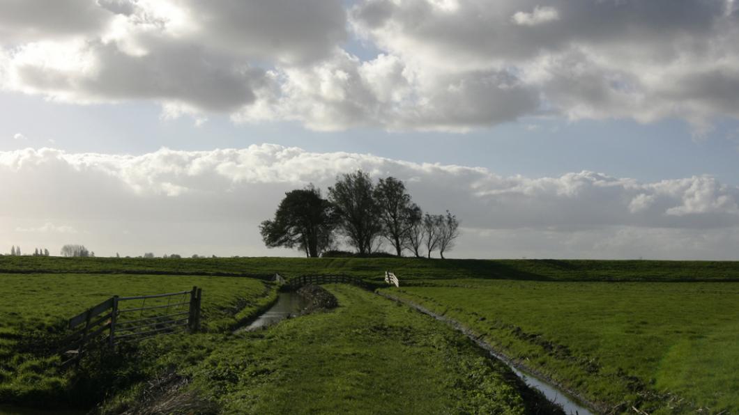 hollandslicht-gnephoek-02_1024.jpg