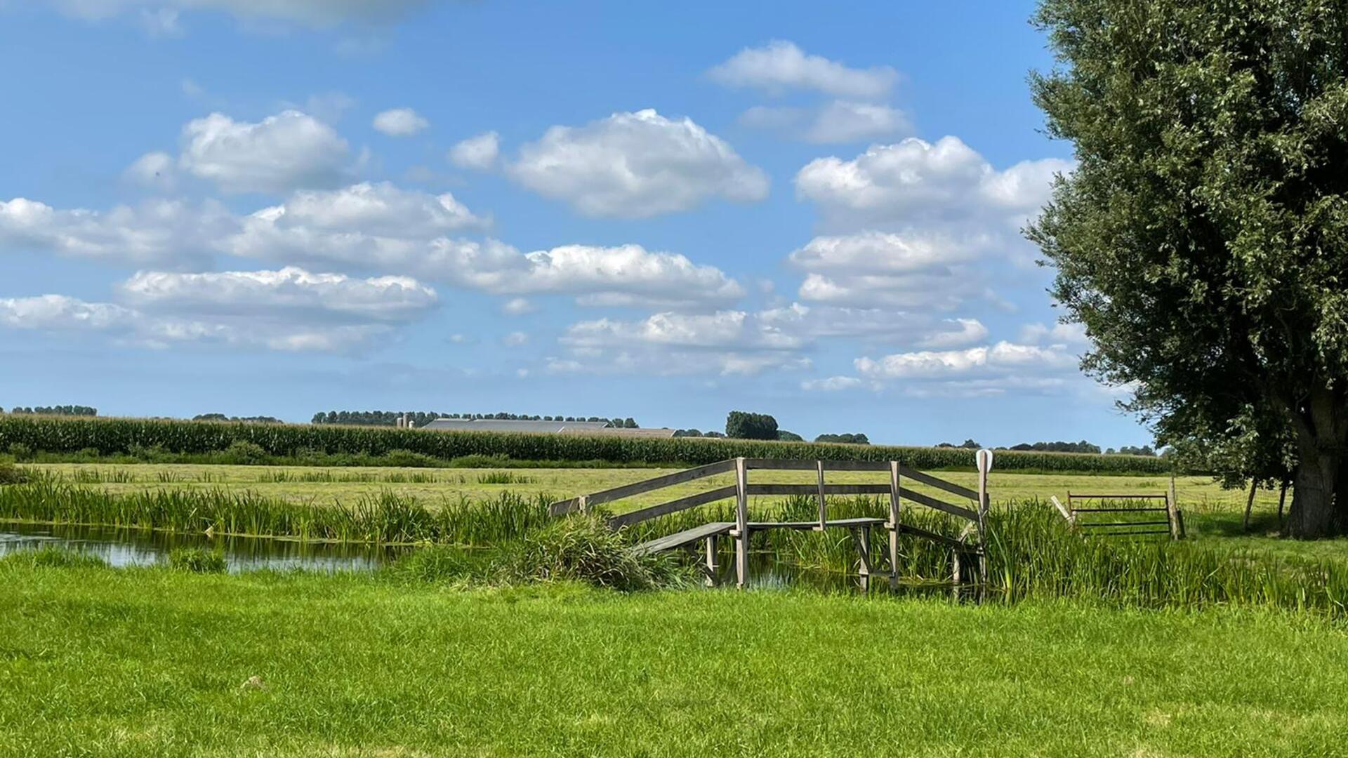 Weids uitgestrekte Gnephoek polder