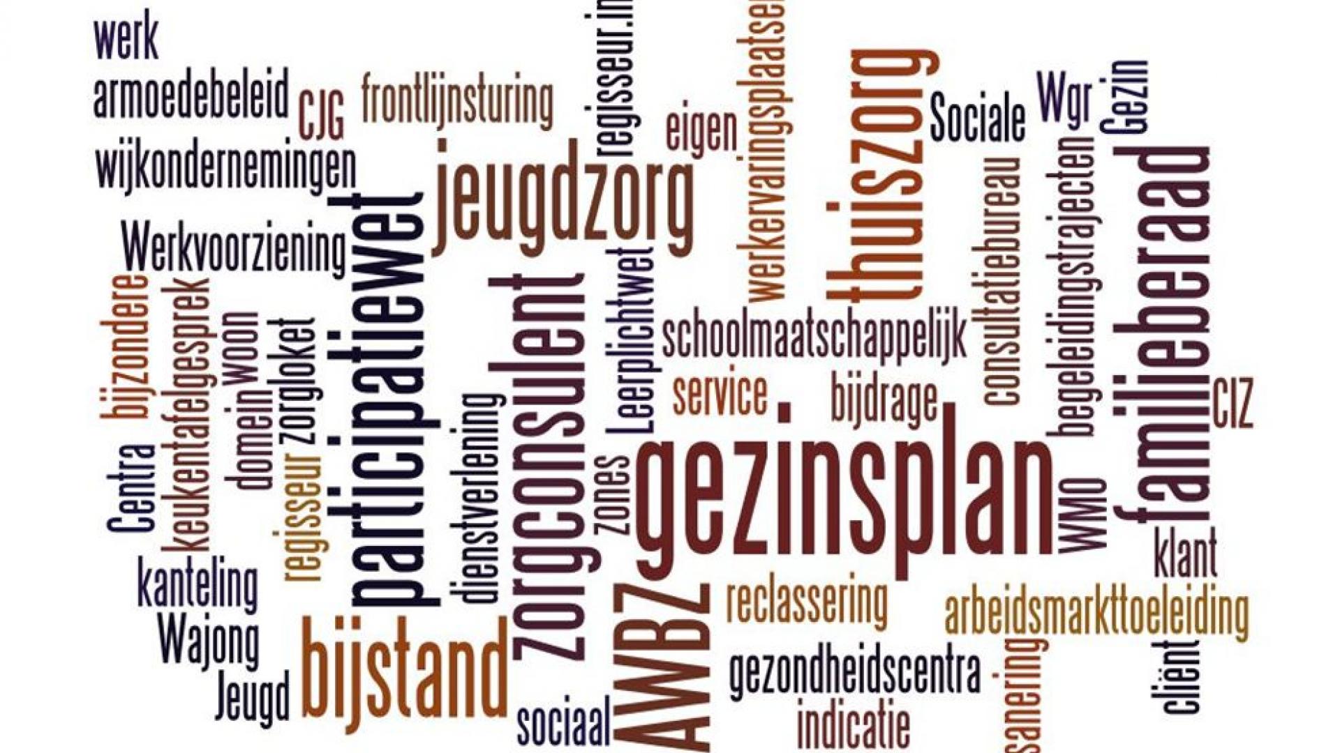 Woorden-cloud-sociaal-domein.jpg