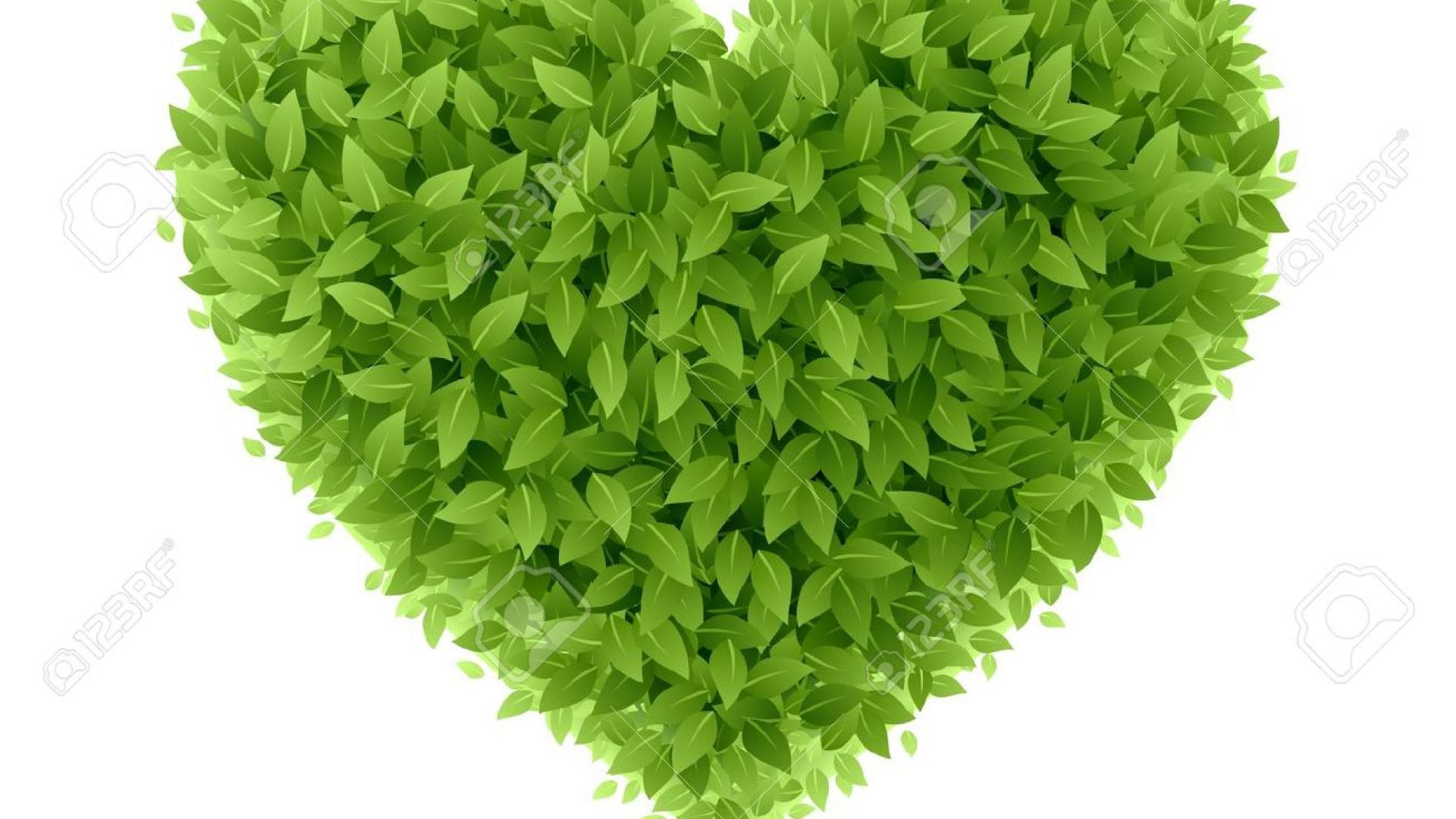 groen hart.jpg