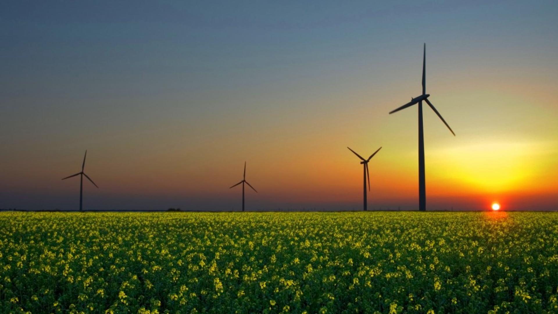 windmolen in gras.jpg